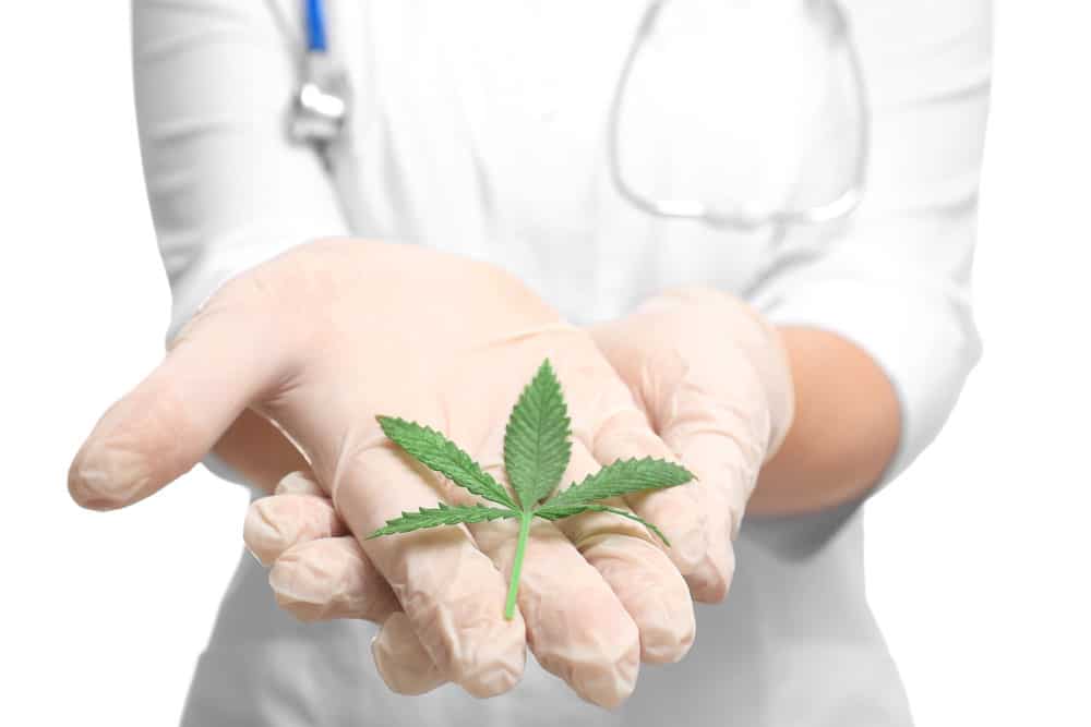 Cannabis as a natural cure for pain