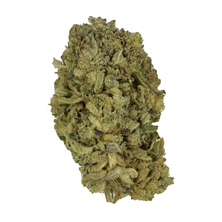 grass greasy pink weed strain