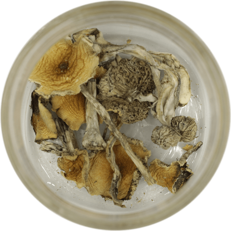3.5g of Blue Meanies Mushrooms