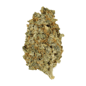 Gelato weed strain
