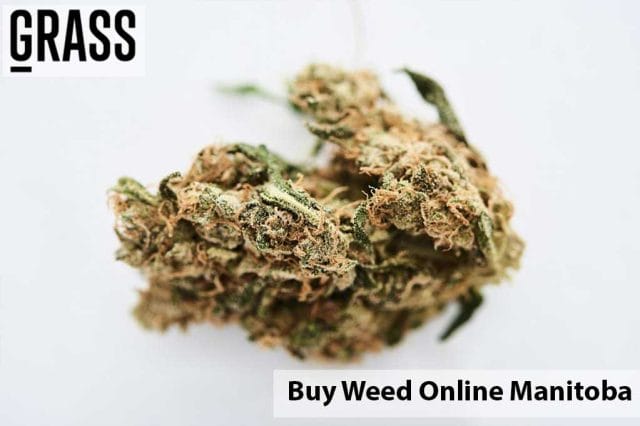 Buy Weed Online Manitoba
