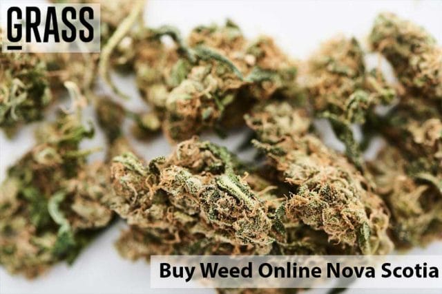 Buy weed online Nova Scotia