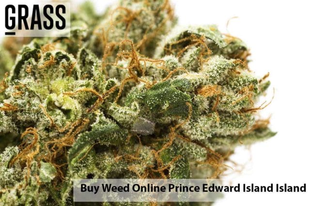 Buy Weed Online Prince Edward Island