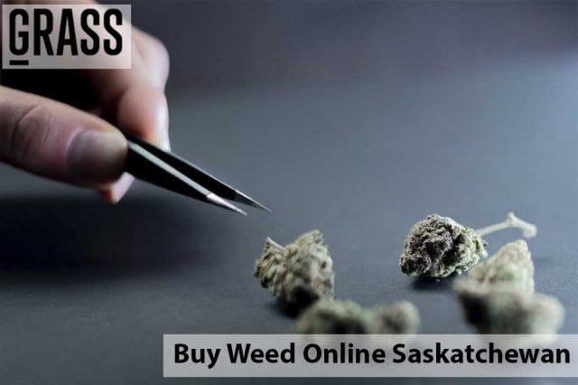 Buy weed online Saskatchewan