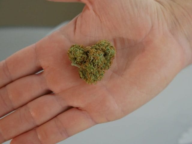 cannabis marijuana Canada