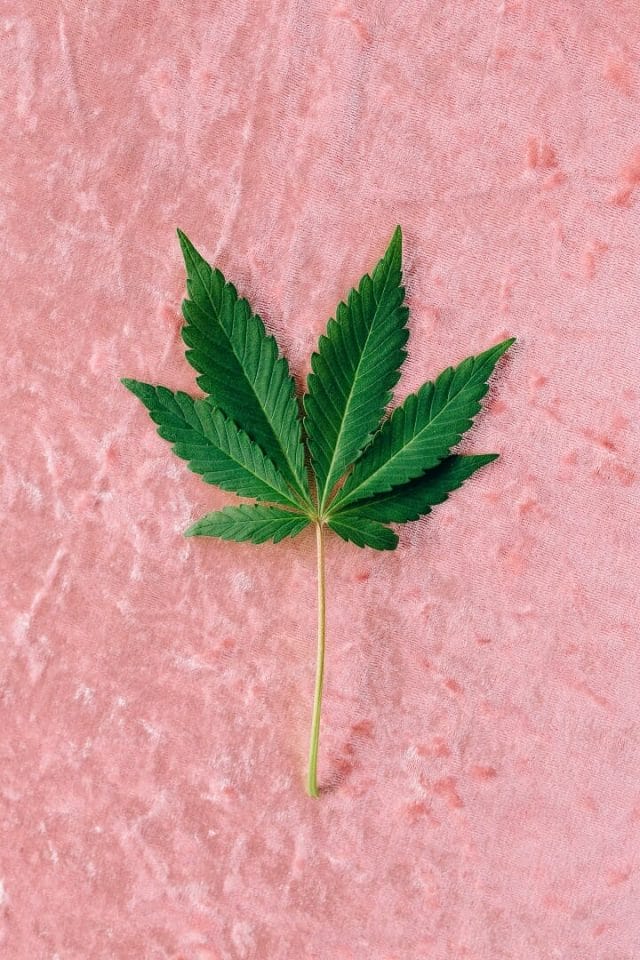 Marijuana cannabis