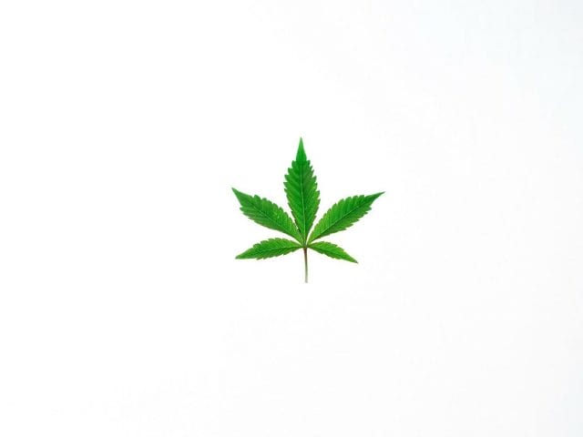 Benefits of Shopping in a BC Weed Online Dispensary