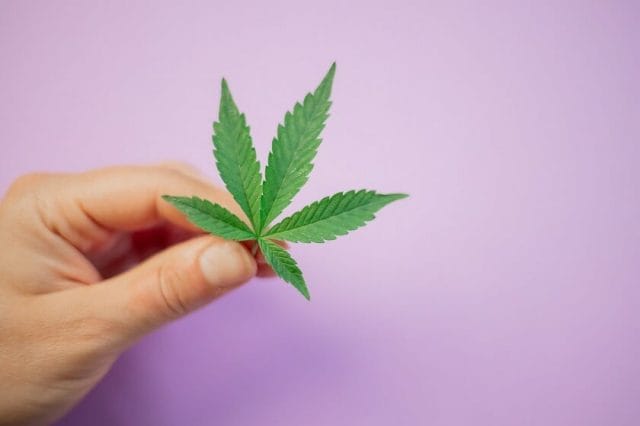 Grasslife - Cannabis Canada