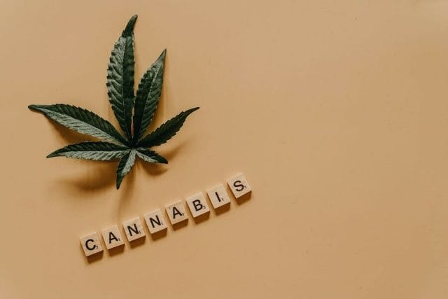 Cannabis weed