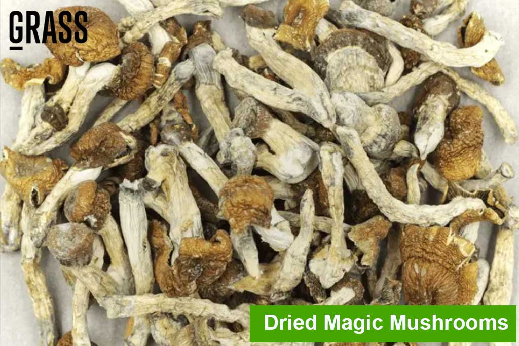 Dried magic mushrooms