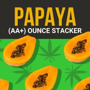 Papaya Ounce Stacker